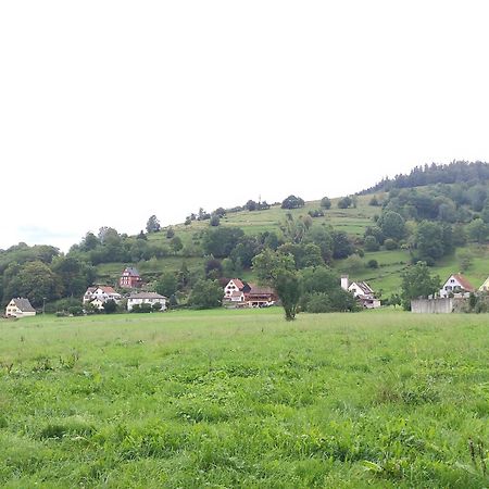 Les Studios Du Frankenthal Stosswihr Zewnętrze zdjęcie