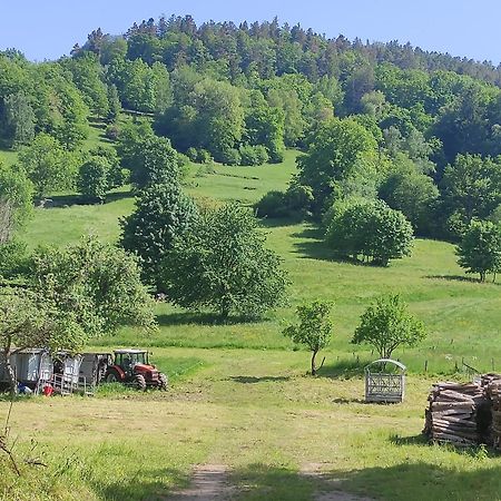 Les Studios Du Frankenthal Stosswihr Zewnętrze zdjęcie