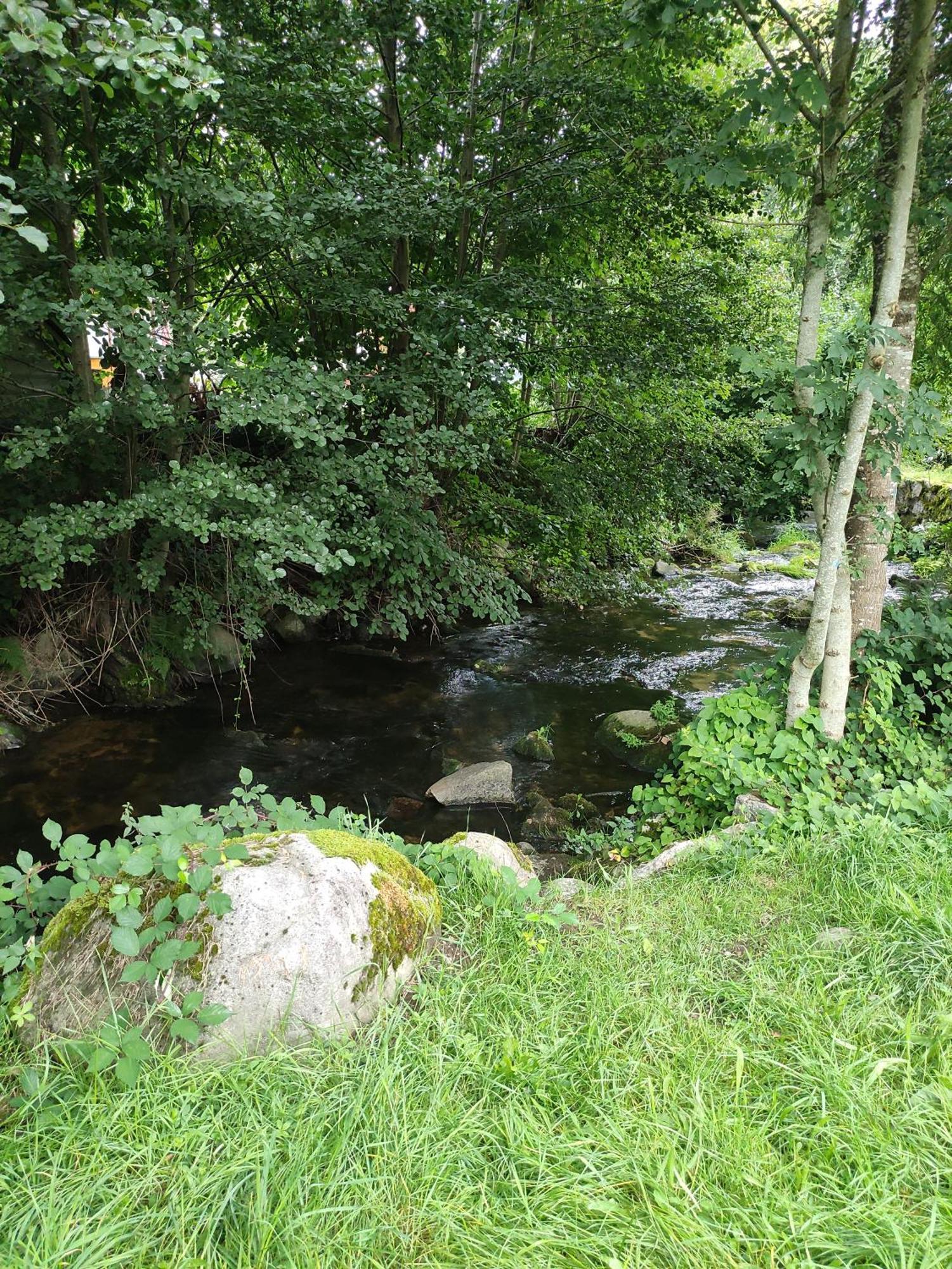 Les Studios Du Frankenthal Stosswihr Zewnętrze zdjęcie