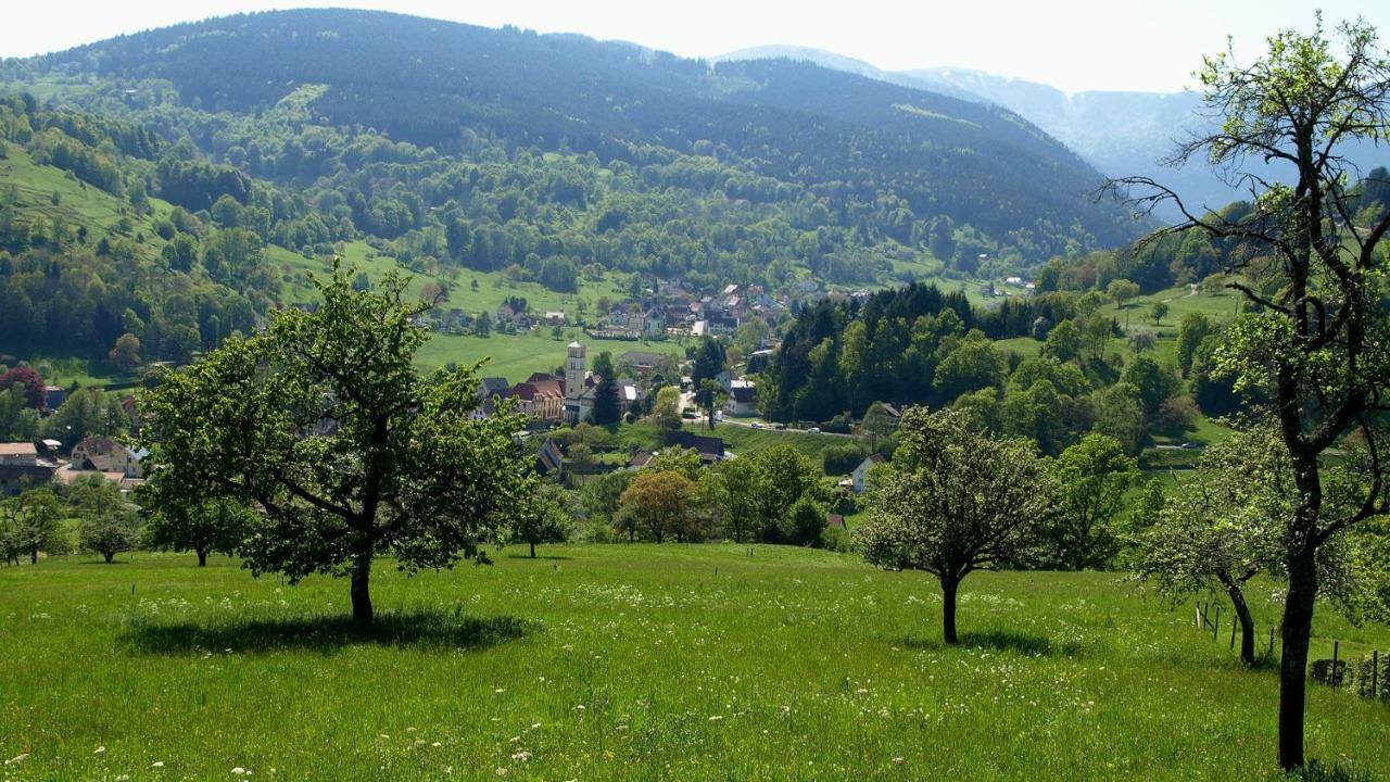Les Studios Du Frankenthal Stosswihr Zewnętrze zdjęcie